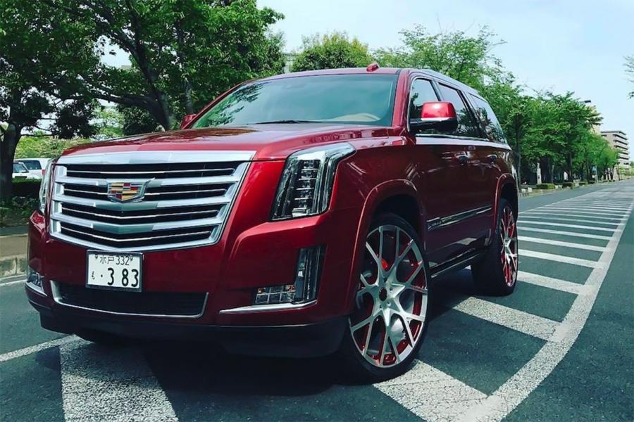 Cadillac Escalade on Forgiato Wheels (Insetto-M) '2017